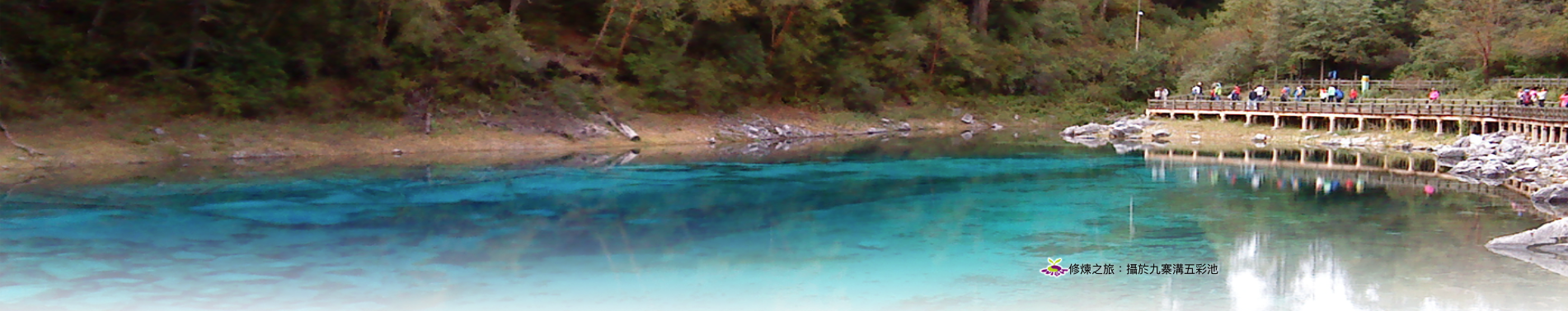 PAGE BANNER