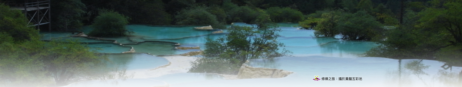 PAGE BANNER