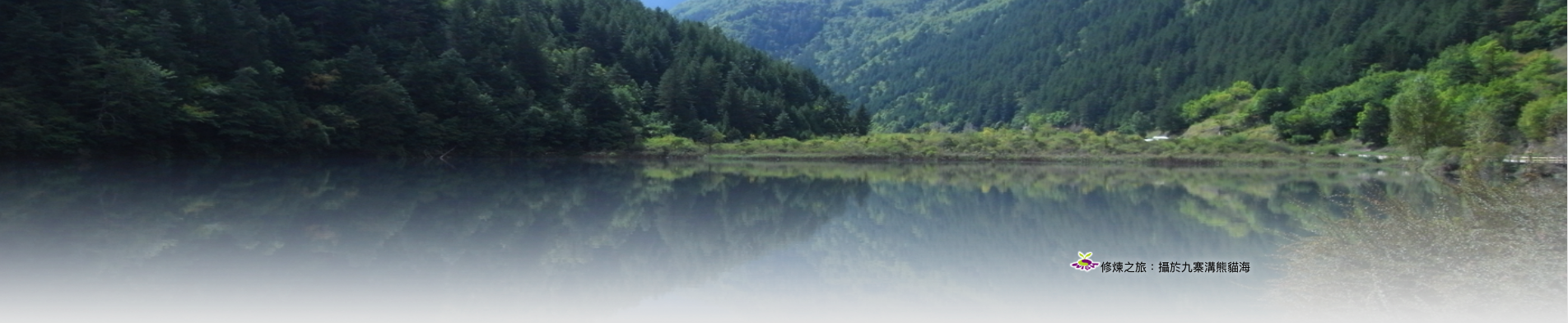 PAGE BANNER